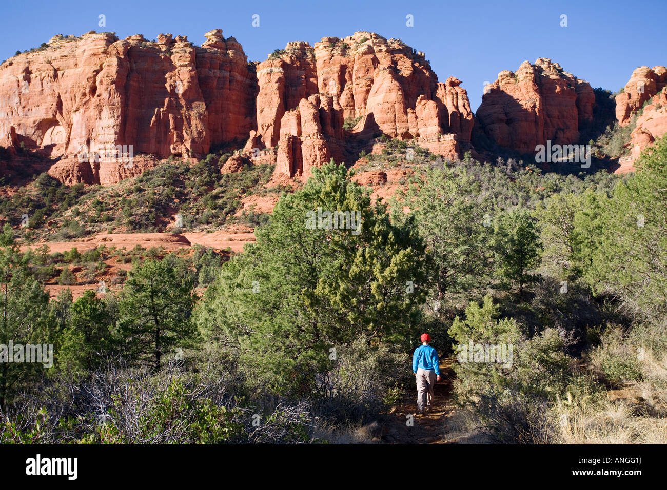 Wandern, die Kuh-Kuchen aus Schnebly Hill Road Sedona Arizona Stockfoto