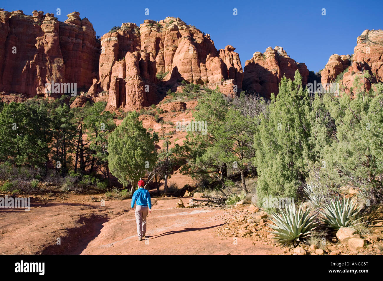 Wandern, die Kuh-Kuchen aus Schnebly Hill Road Sedona Arizona Stockfoto
