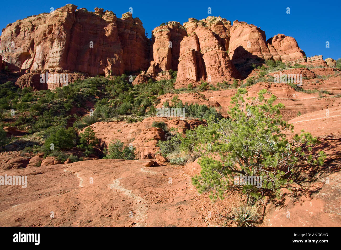 Rote Klippen aus Schnelby Hill Road Sedona Arizona Stockfoto