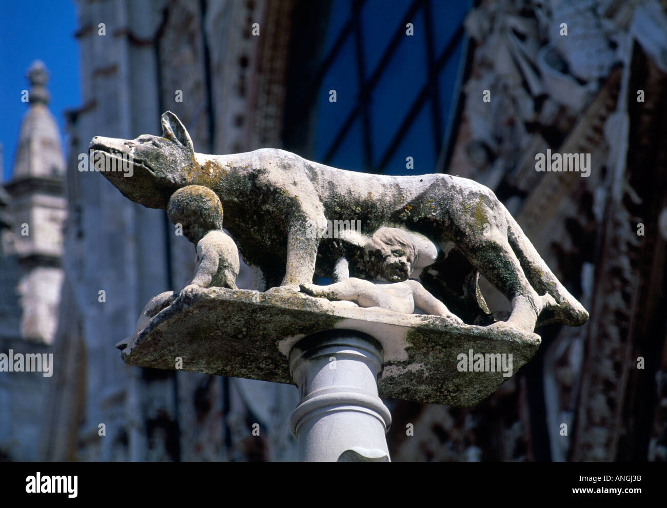 Romulus und Remus mit Wolf-Statue in Siena Stockfoto