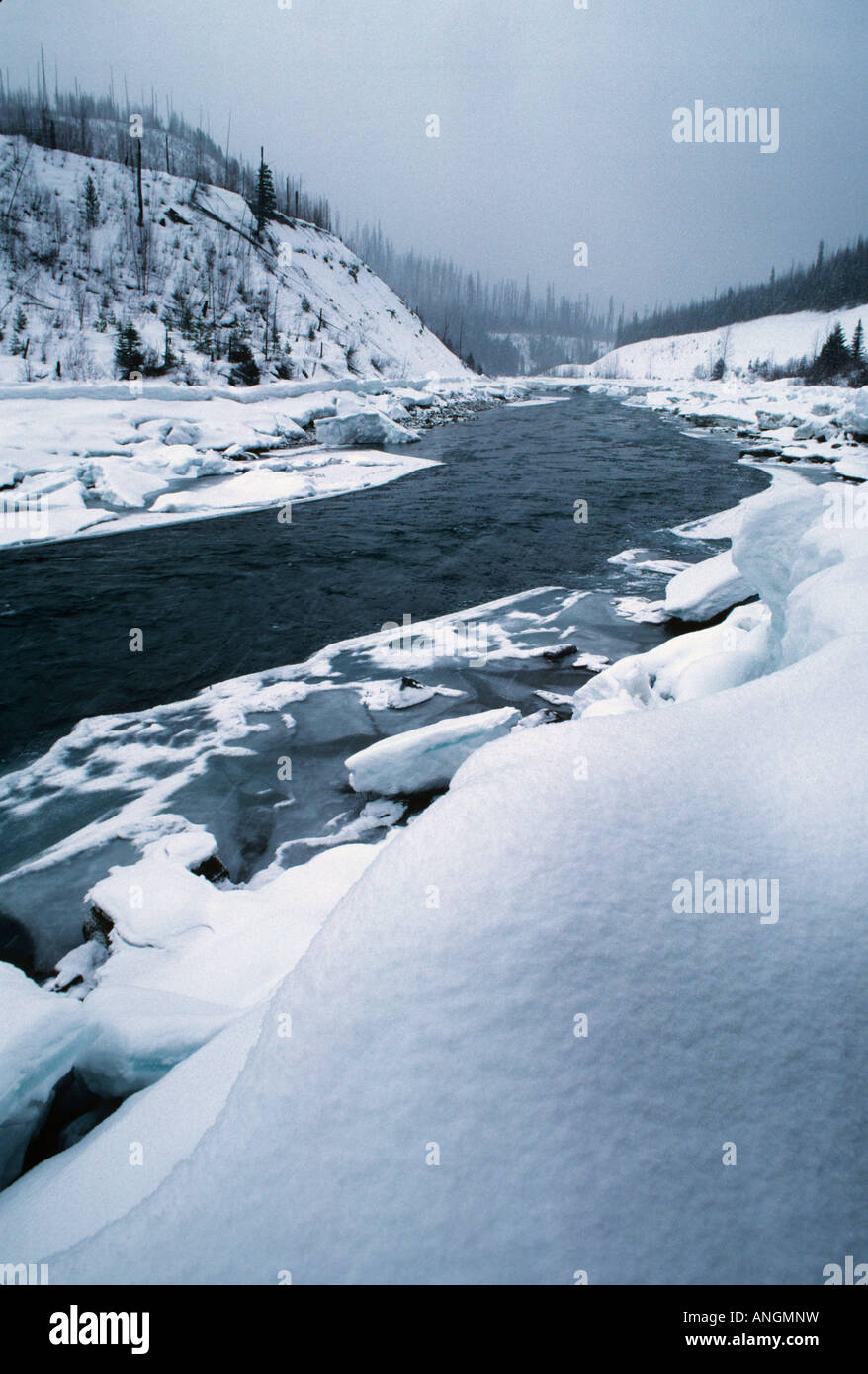 Winter auf der North Fork des Flathead River, Glacier National Park, Montana USA Stockfoto