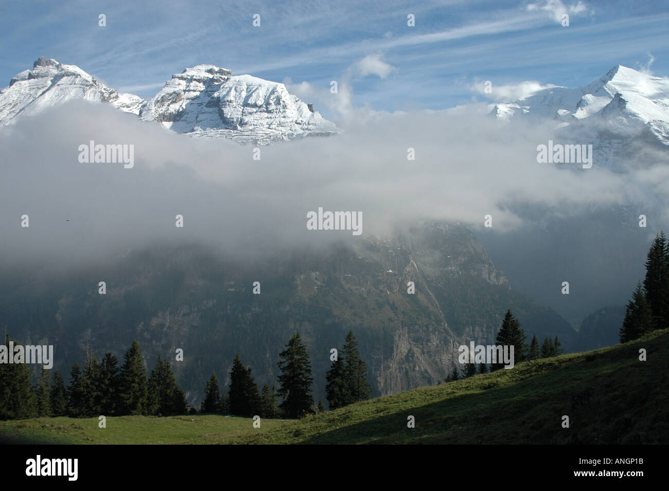 Mtns Altels Balmhorn Klein Doldenhorn Kandersteg Kander Talebene Berner Oberland Schweizer Alpen der Schweiz Stockfoto