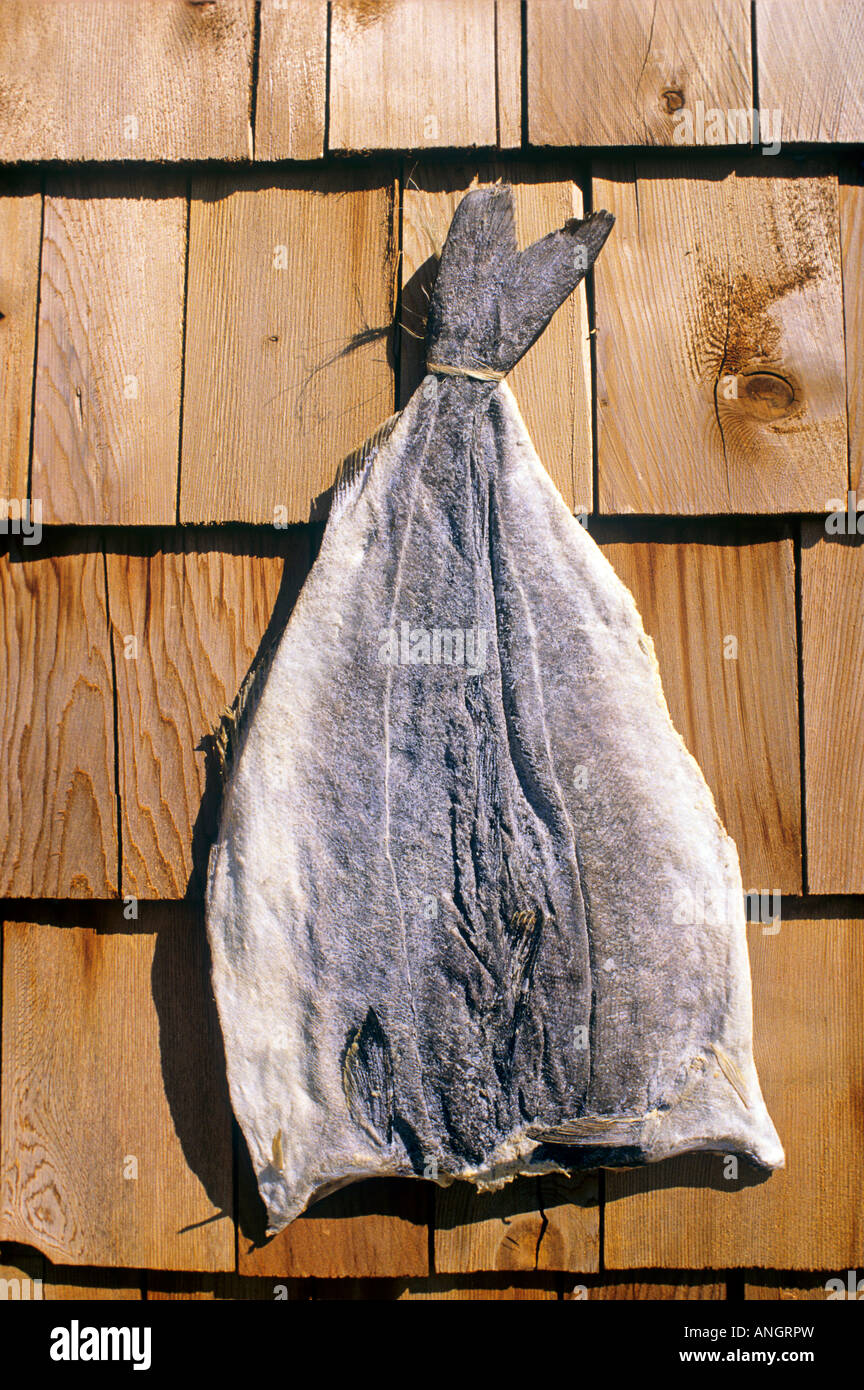 Stockfisch Angeln hängen vergossen, North Rustico, Prince Edward Island, Kanada. Stockfoto