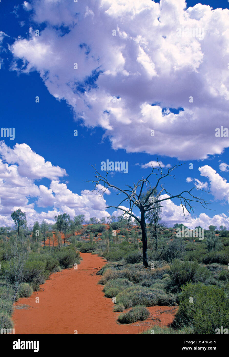 Kata Tjuta National Park, Northern Territories, Australien Stockfoto