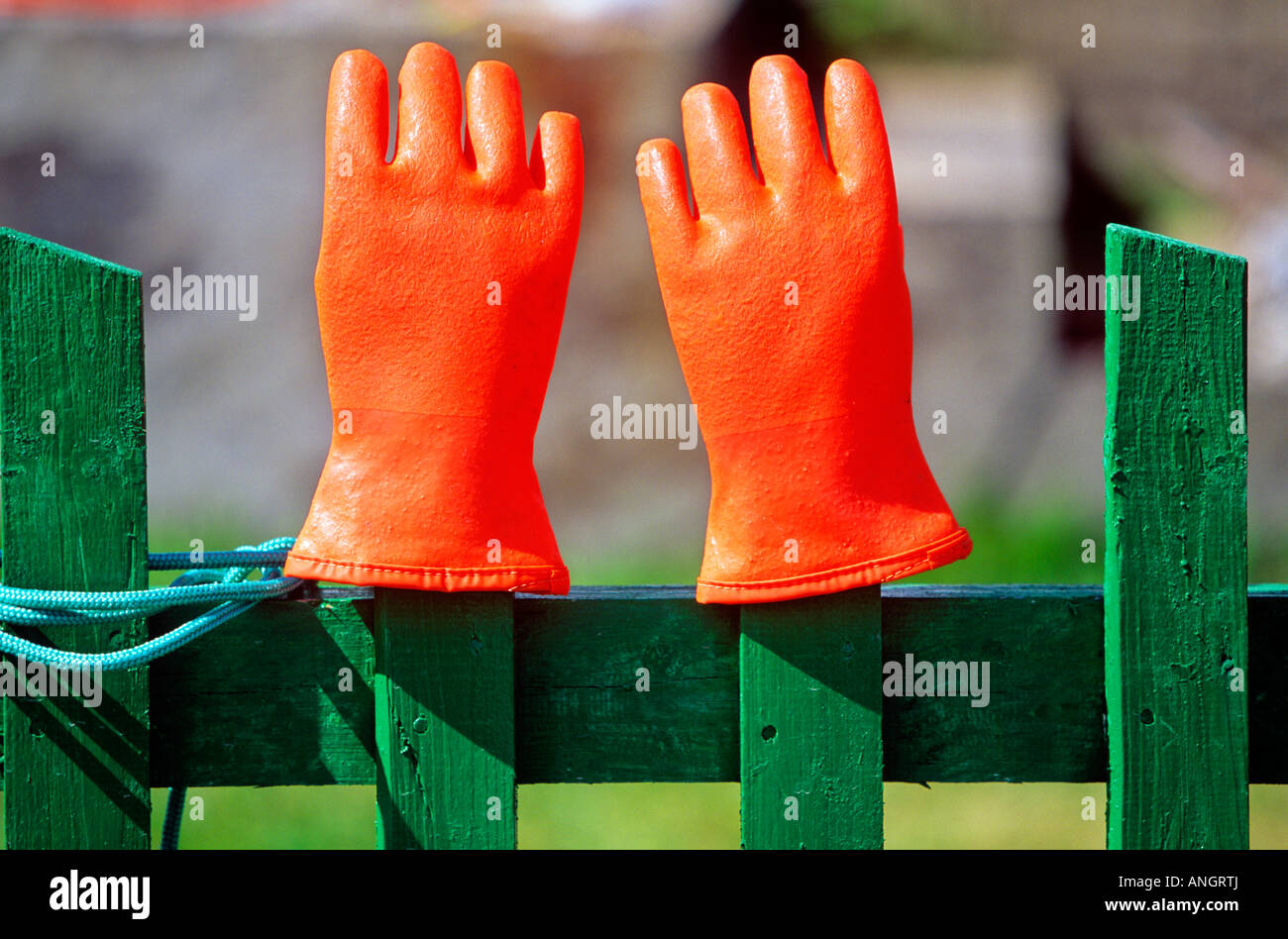 Angeln Handschuhe hängen am Zaun Norris Point, Neufundland, Kanada. Stockfoto