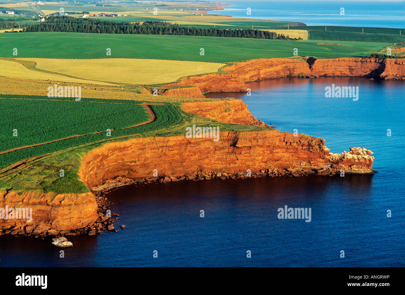 Luftaufnahmen von Sandsteinfelsen am Kap Tryon, Prince Edward Island, Kanada. Stockfoto