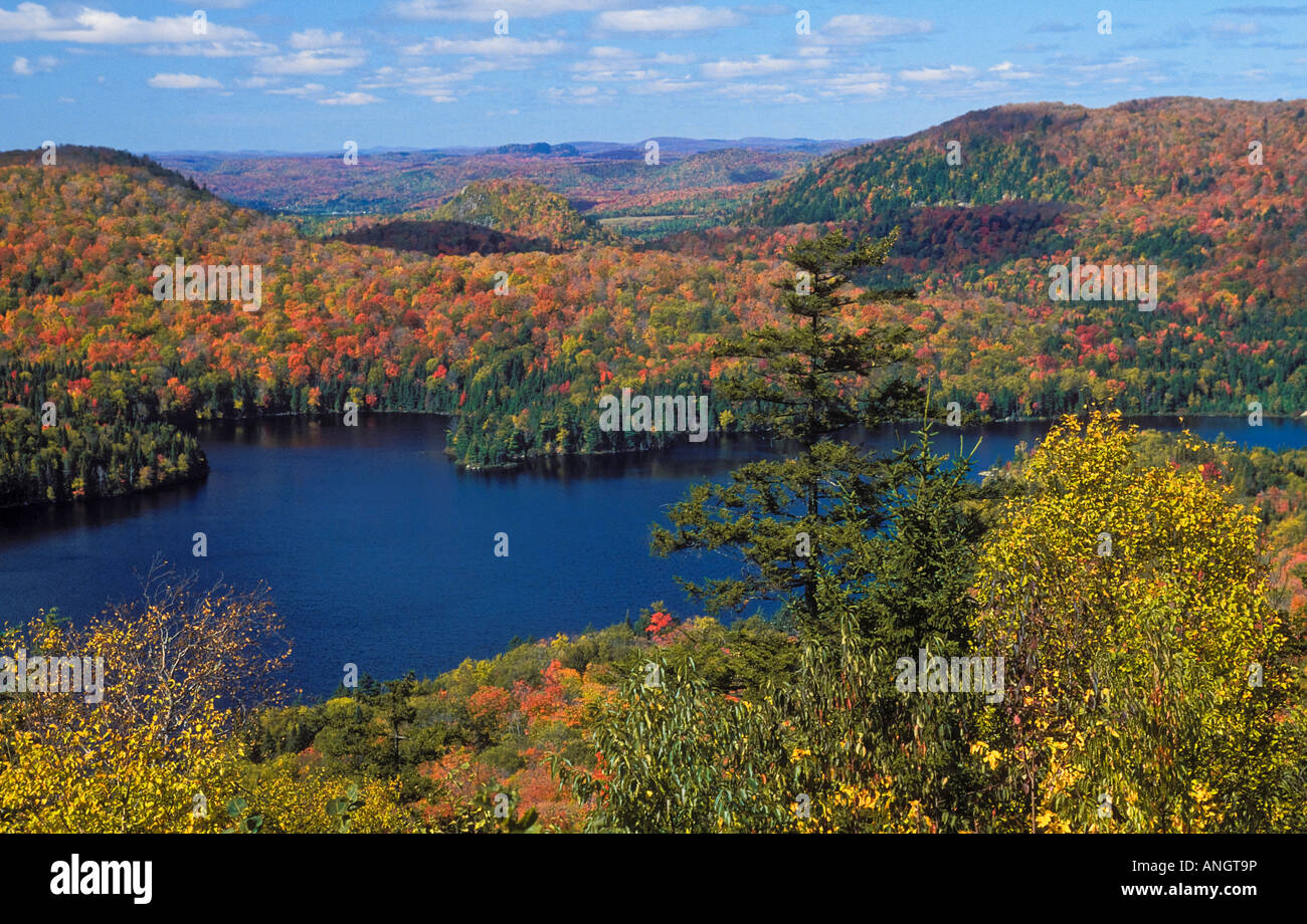 Laurentian Mountains bemalt mit Farbe der Blätter im Herbst in der Nähe von Mont-Tremblant, Quebec, Kanada. Stockfoto