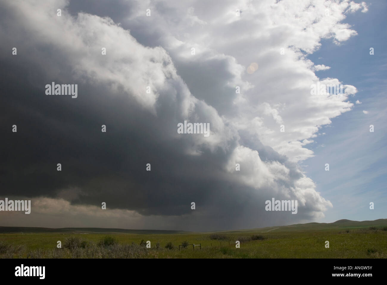 Kaltfront voran. Eine Kaltfront ist die Grenze entlang, die eine Förderung der Masse von kalter Luft verdrängt eine wärmere Luftmasse. Da Stockfoto