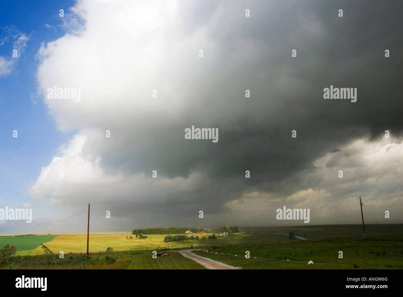 Kaltfront voran. Eine Kaltfront ist die Grenze entlang, die eine Förderung der Masse von kalter Luft verdrängt eine wärmere Luftmasse. Da Stockfoto
