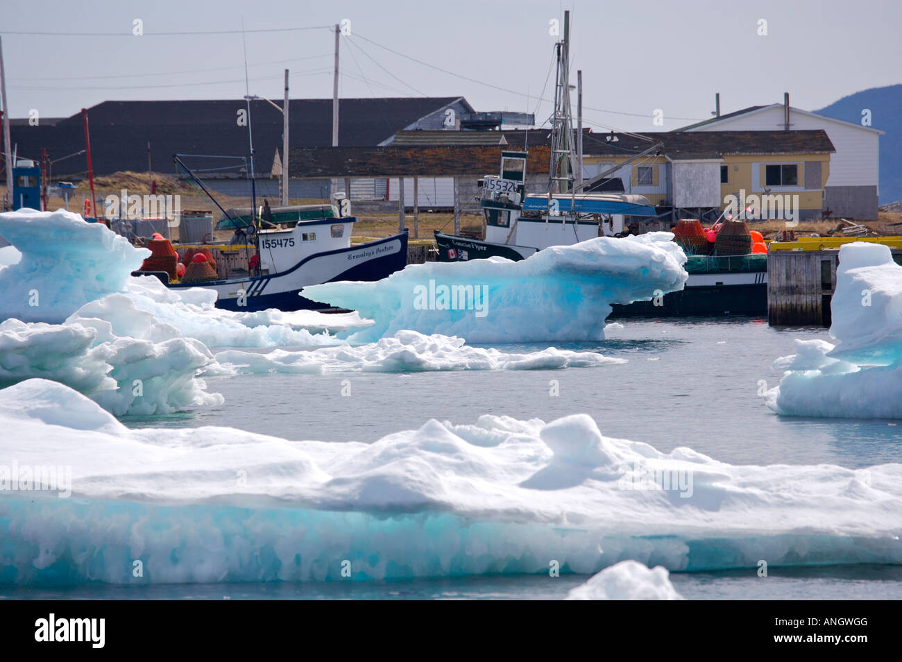 Packeis in der Conche Hafen, Conche, Französisch Ufer, große nördliche Halbinsel, Viking Trail, Neufundland & Labrador, Kanada. Stockfoto
