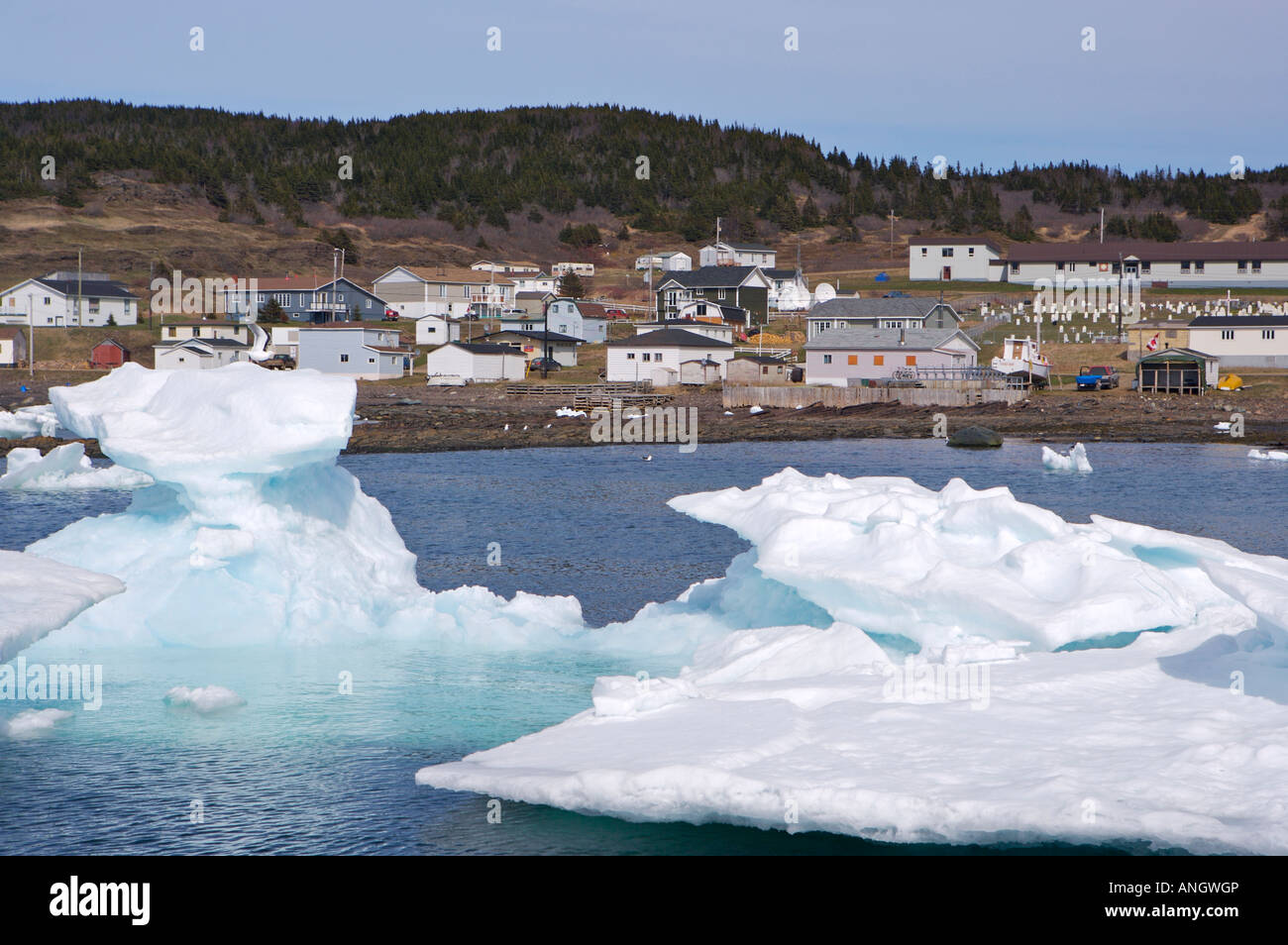 Packeis in der Conche Hafen, Conche, Französisch Ufer, große nördliche Halbinsel, Viking Trail, Neufundland & Labrador, Kanada. Stockfoto
