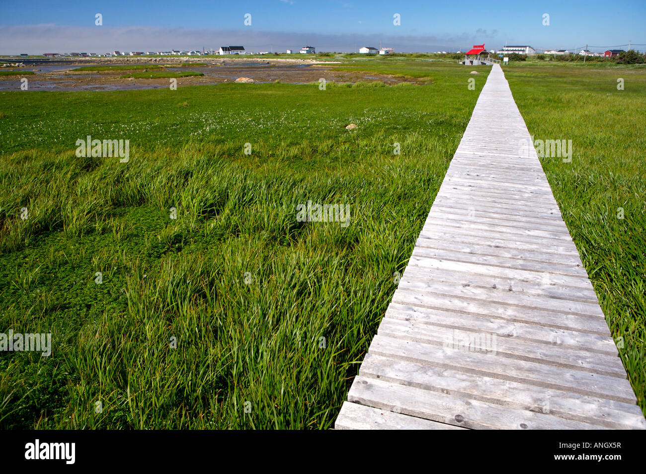 Promenade an der Thrombolites in der Blume Bucht entlang Landstraße 430 auf der großen nördlichen Halbinsel, Viking Trail, Neufundland & L Stockfoto