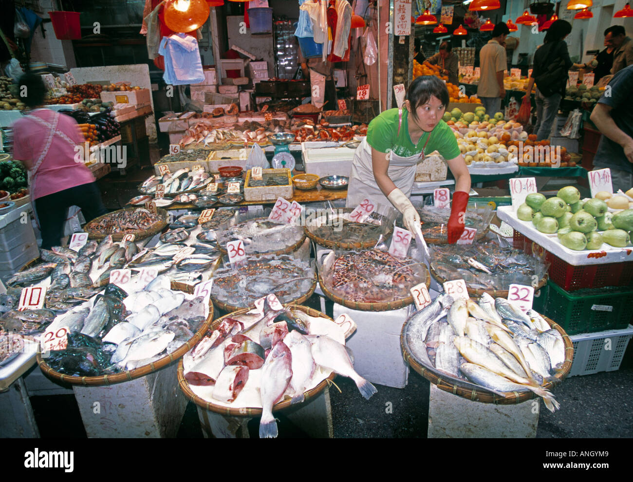 Fisch Markt, Wan Chai, Hong Kong, China Stockfoto