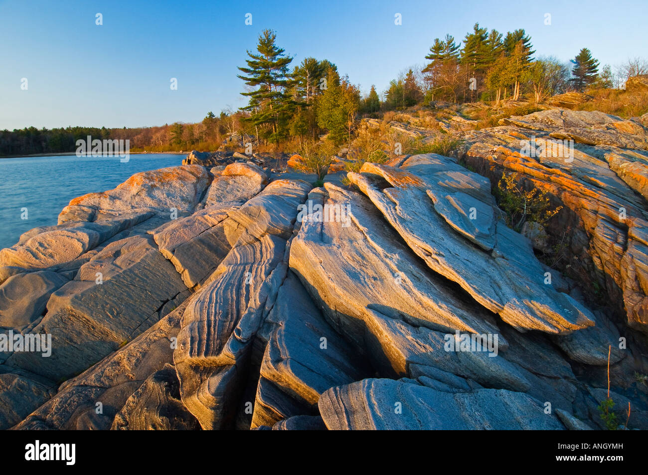 Präkambrischen Schild Felsen entlang der Küste der Georgian Bay, Killbear Provincial Park, Ontario, Kanada. Stockfoto