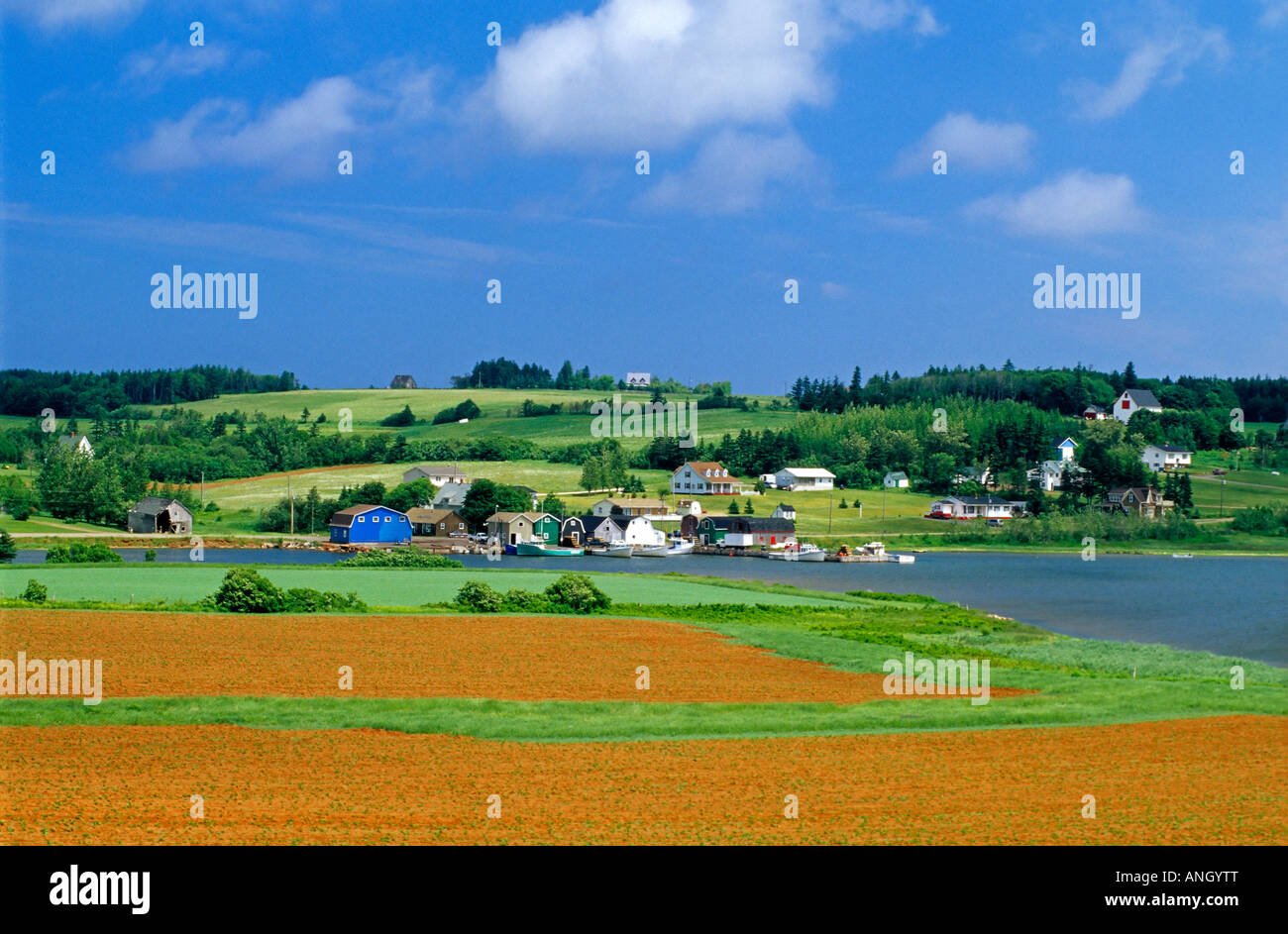 Kulturlandschaft mit roter Erde, French River, Prince Edward Island, Kanada. Stockfoto