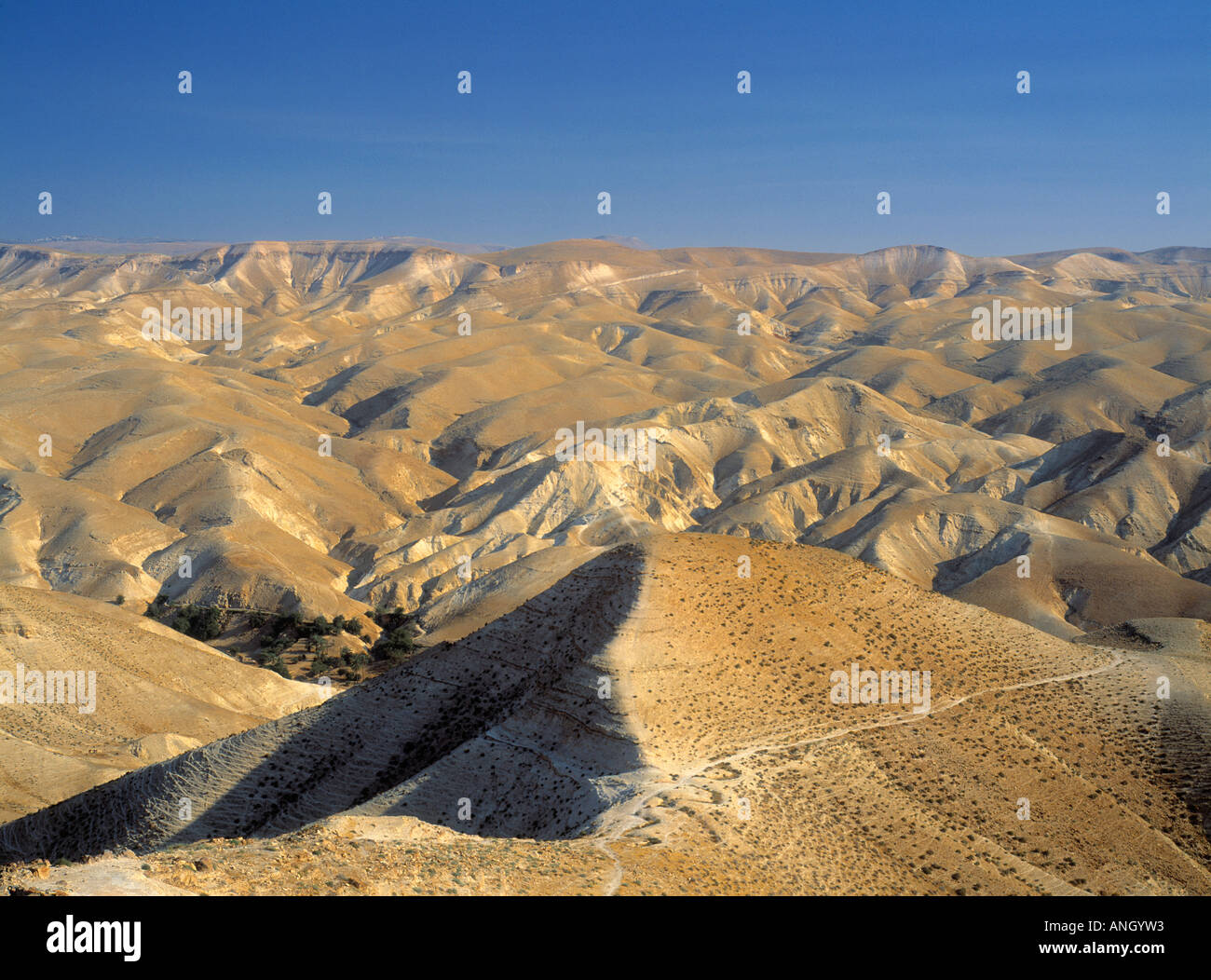 Judäische Wüste, Israel Stockfoto