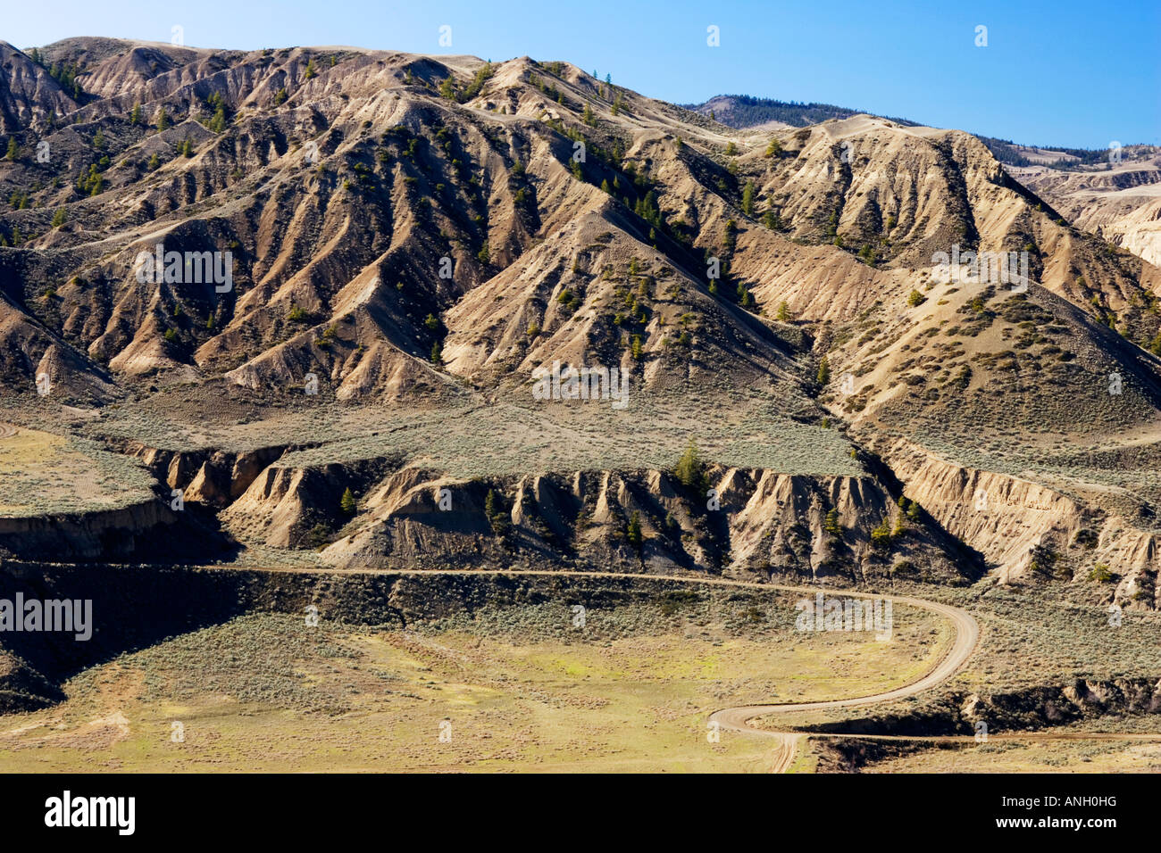 Straße in Churn Creek Gegend, Britisch-Kolumbien, Kanada zurück. Stockfoto