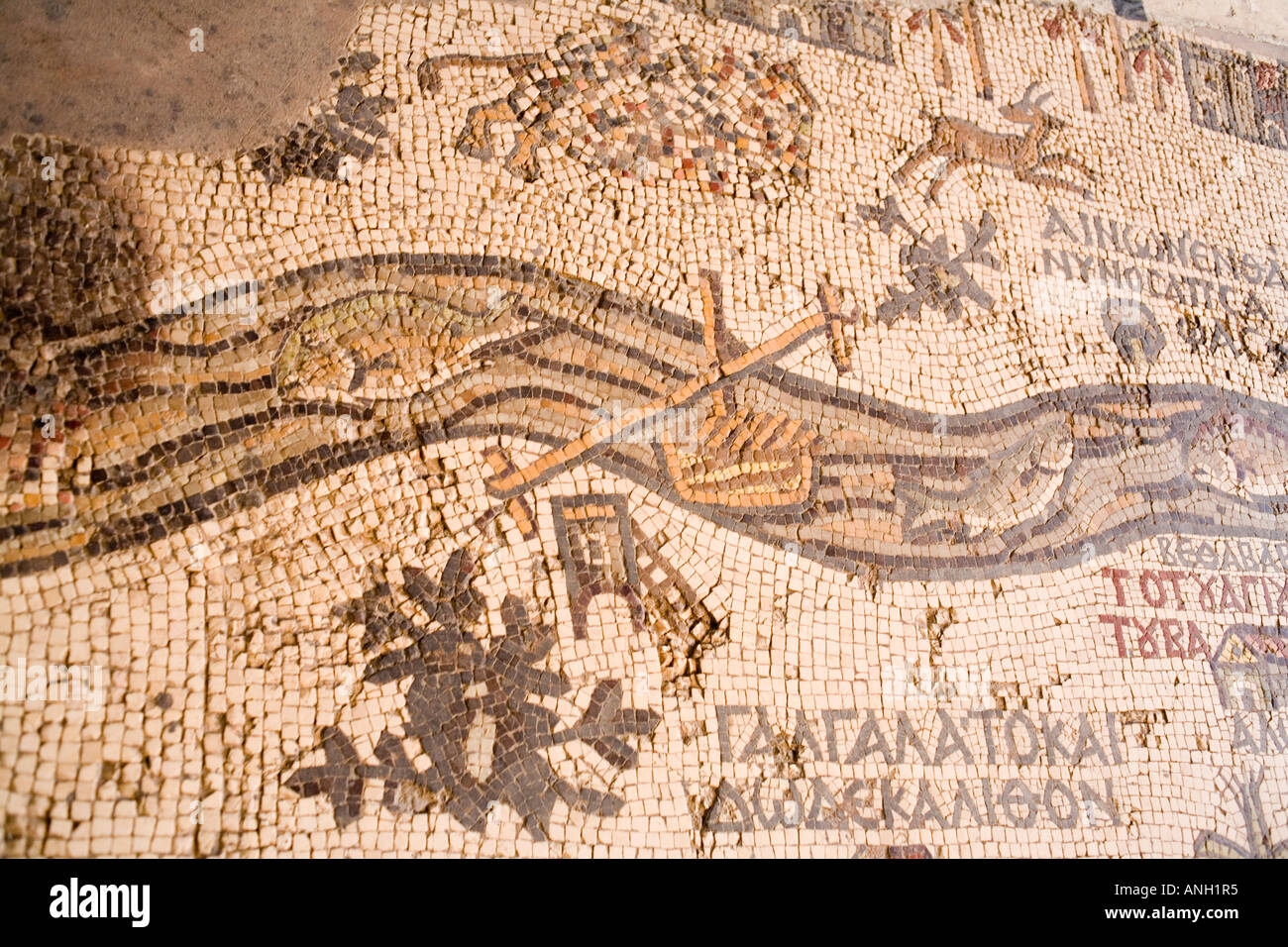 Mosaik Karte des Heiligen Landes, St.-Georgs-Kirche, Madaba, Jordanien Stockfoto