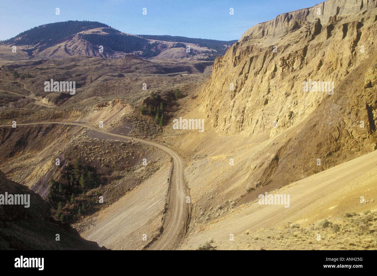 Seitenstraße zwischen Gang Ranch & Empire Valley Ranch, Chilcotin Region, Britisch-Kolumbien, Kanada. Stockfoto