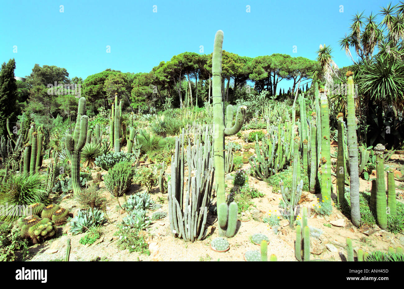 Die Ortschaften Botanischer Garten Blanes Costa Brava in Spanien