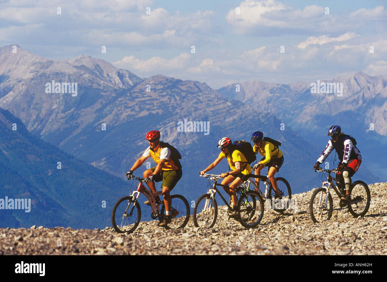 Junge Erwachsene Mountainbiken, Fernie Alpine Resort, British Columbia, Kanada. Stockfoto