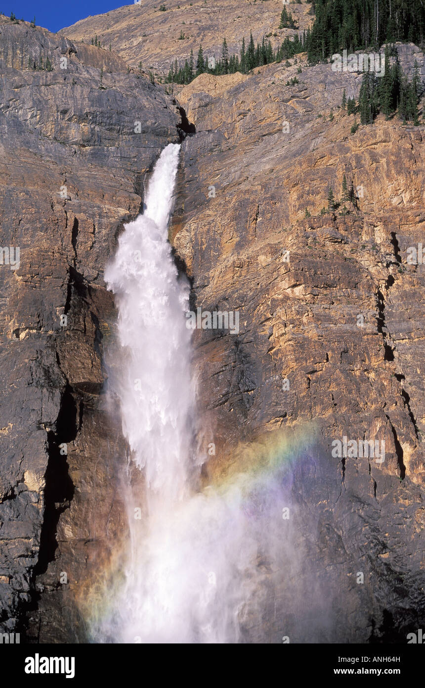 Gespeisten Wasserfälle (254 Meter hoch) gespeist von Daly Gletscher im Yoho Nationalpark, Britisch-Kolumbien, Kanada. Stockfoto