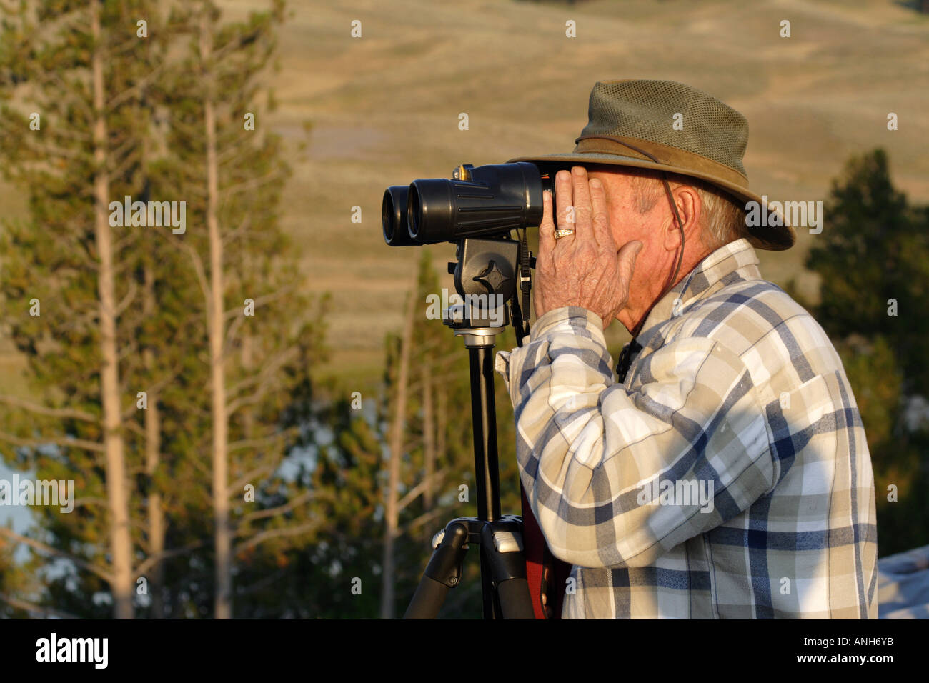 Mann auf der Suche durch ein Fernglas auf Wildtiere, Yellowstone-Nationalpark Stockfoto