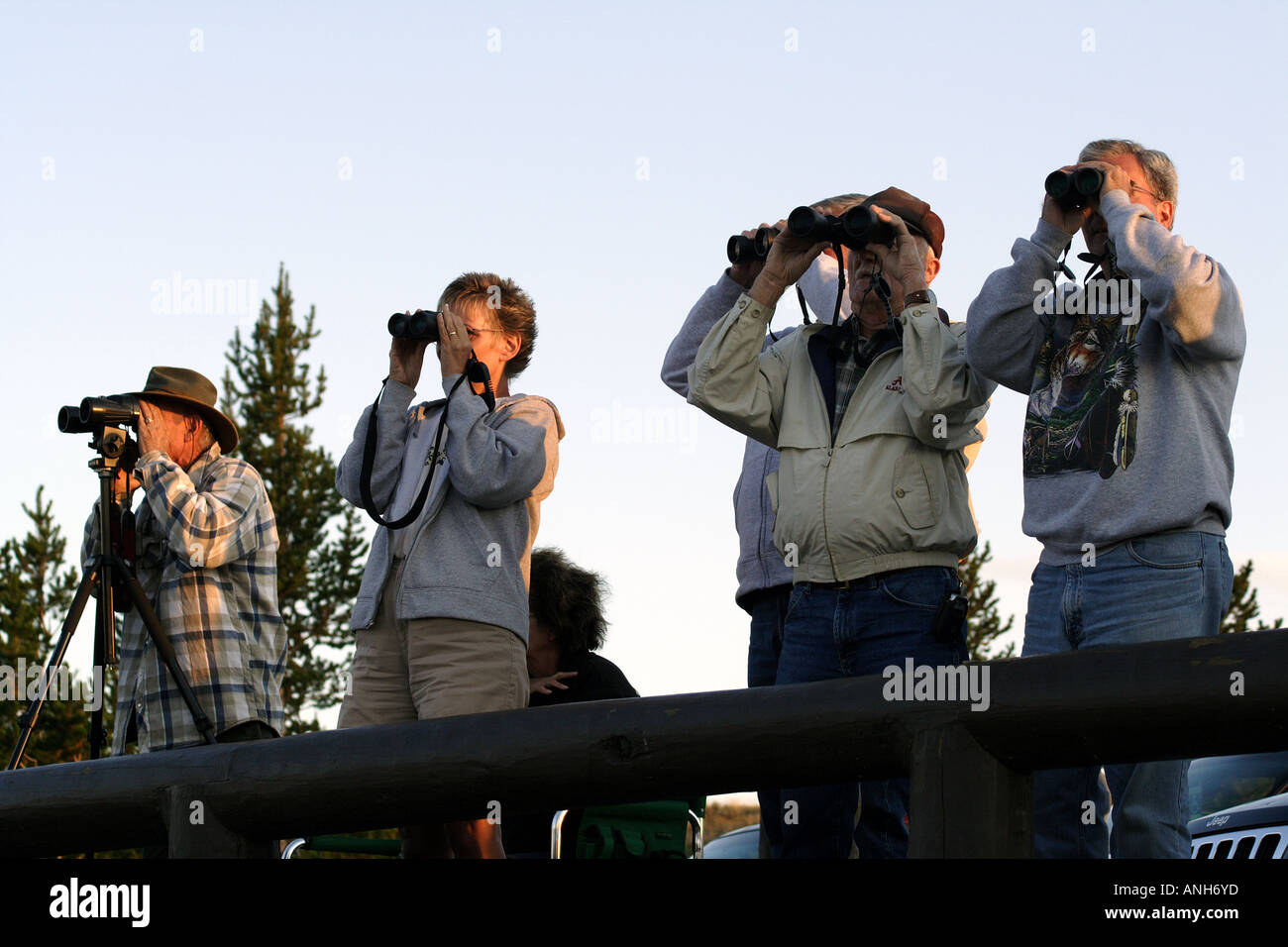 Männer und Frauen schauen durch ein Fernglas auf Wildtiere, Yellowstone-Nationalpark Stockfoto