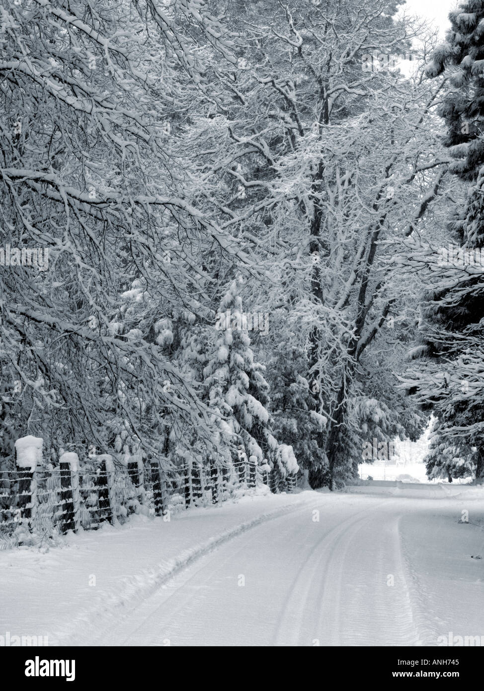 Einen verschneiten Feldweg in Nord-Kalifornien im winter Stockfoto