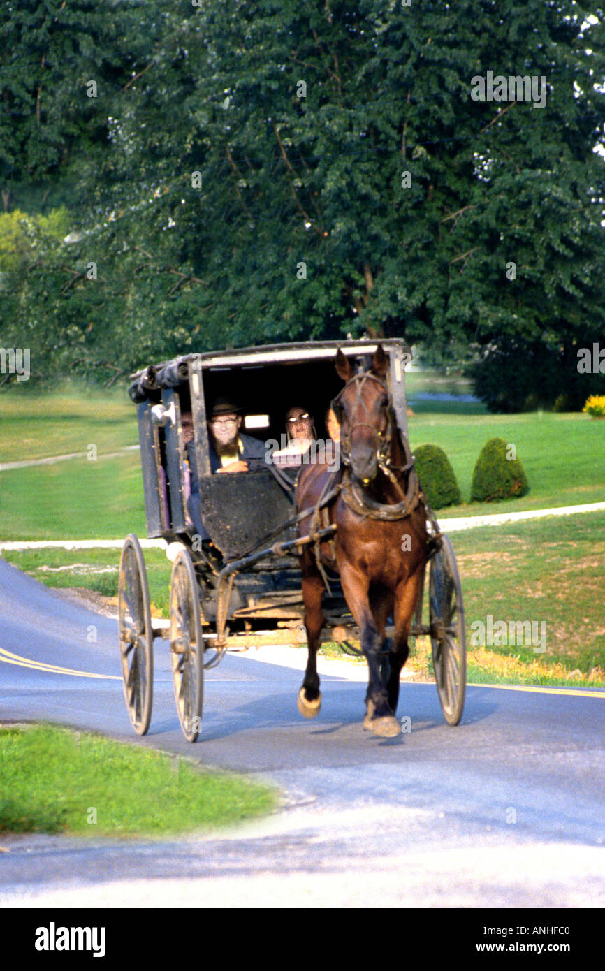 Amische Familie fahren im Buggy von Pferd gezogen Stockfoto