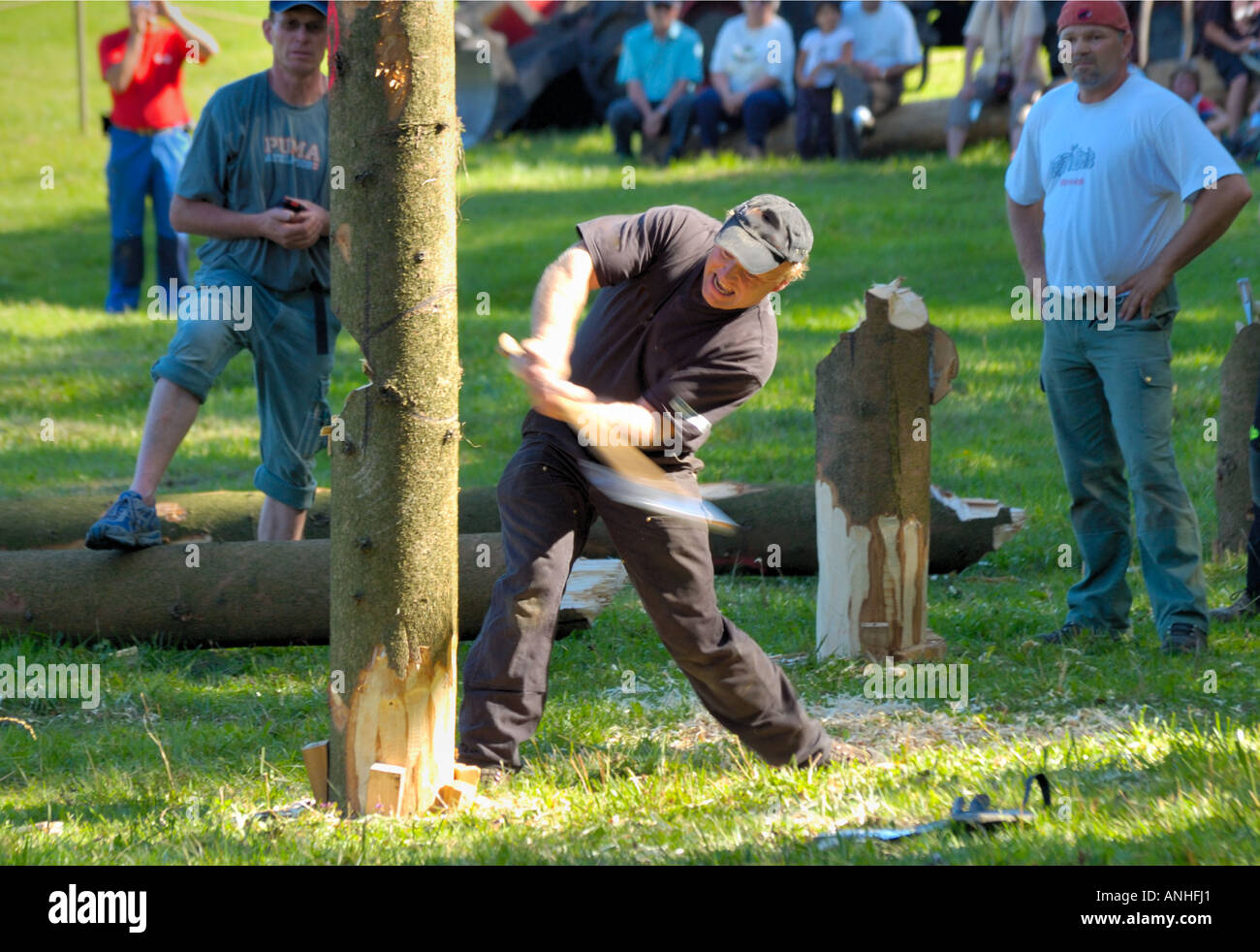 Ein Holzfäller, die einen Baum in einem Holzfäller Wettbewerb, hacken Hacken gegen die Uhr. Stockfoto