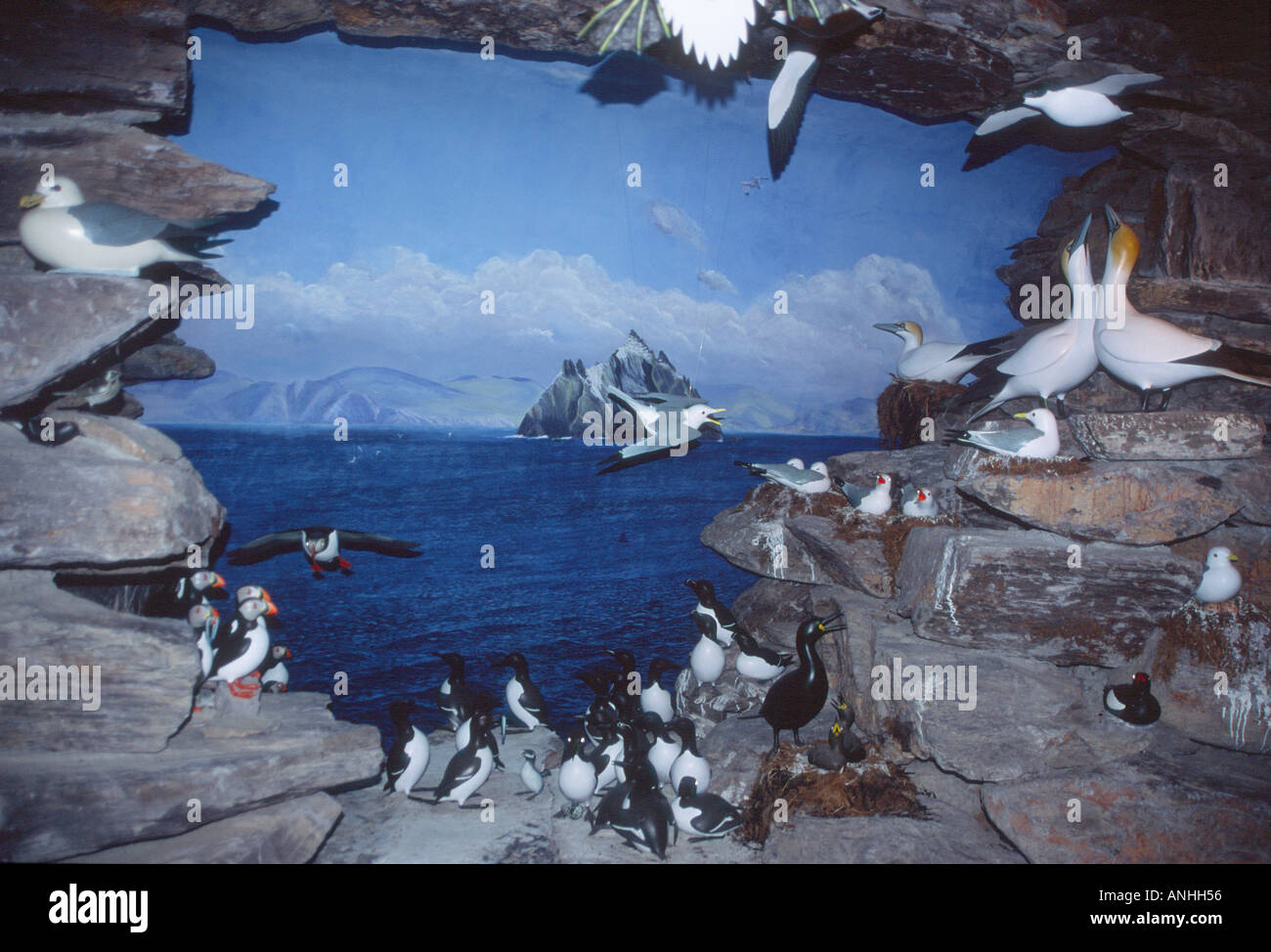 Skellig Erlebnis Zentrum Valentia Island County Kerry Irland Stockfoto