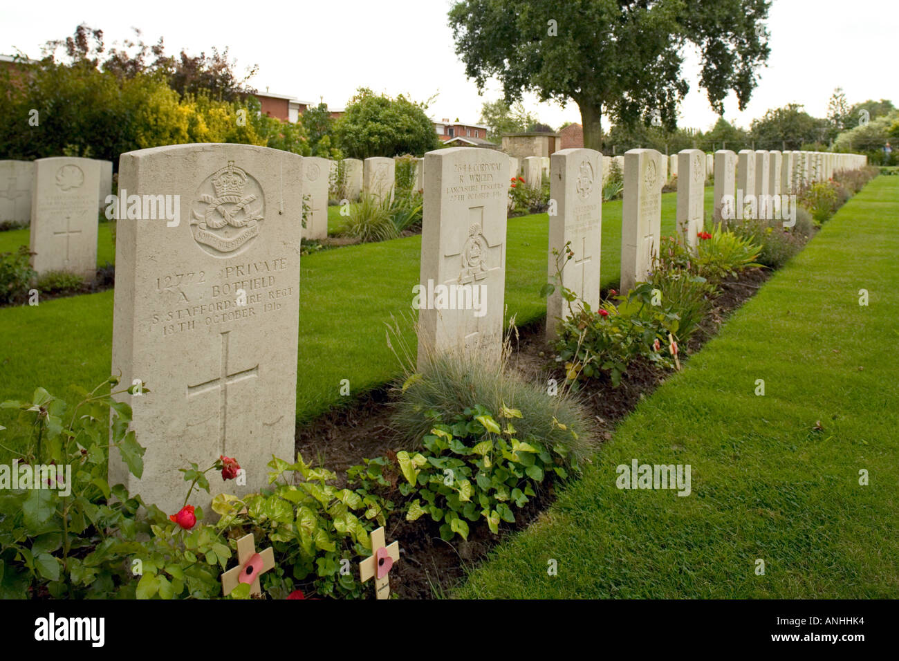 Grab von A Botfield in Poperinghe neue Soldatenfriedhof Belgien. Erschossen Sie im Morgengrauen wegen Desertion im 1. Weltkrieg Stockfoto