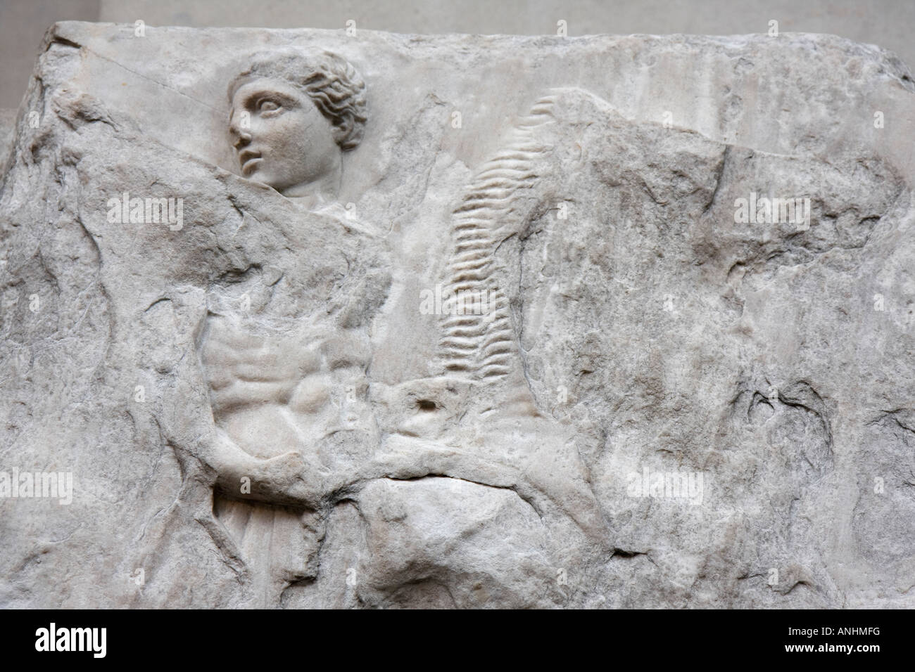 Die Elgin Marbles 5 im British Museum Stockfoto