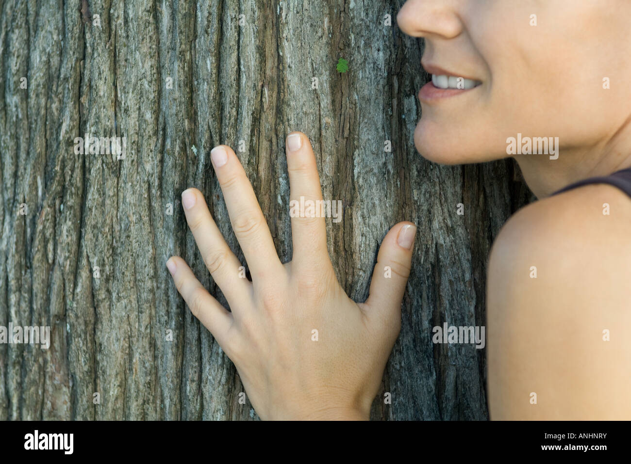 Frau berühren Baumstamm, beschnitten Stockfoto