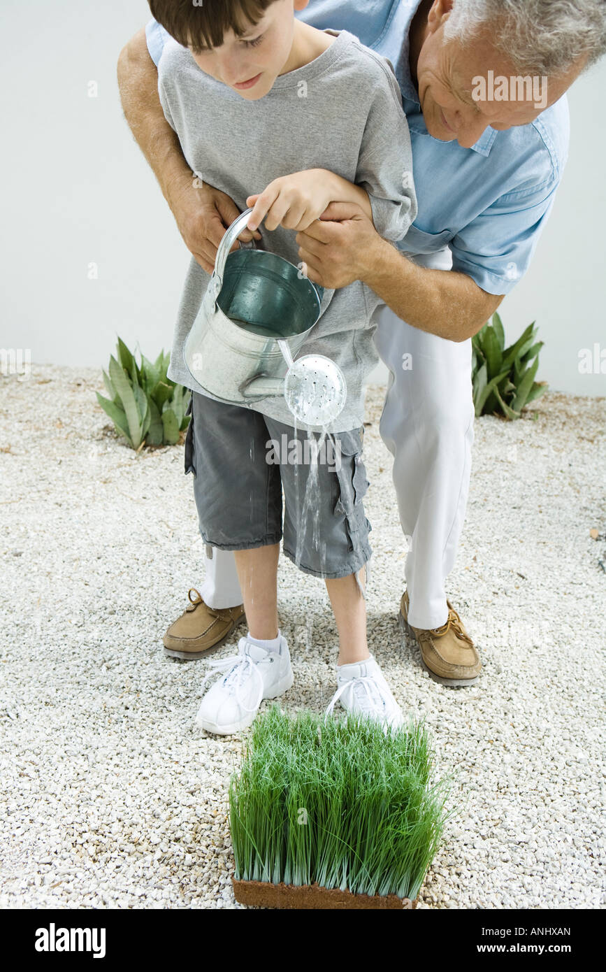 Großvater und Enkel, die Bewässerung Weizengras zusammen Stockfoto