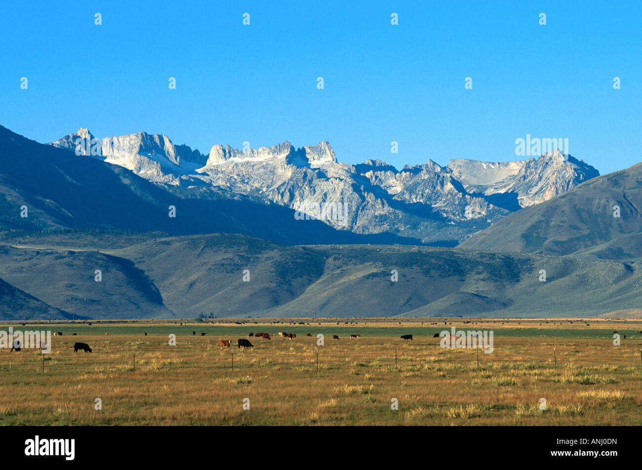 Die Sawtooth Ridge in der Sierra Nevada in Kalifornien USA Stockfoto