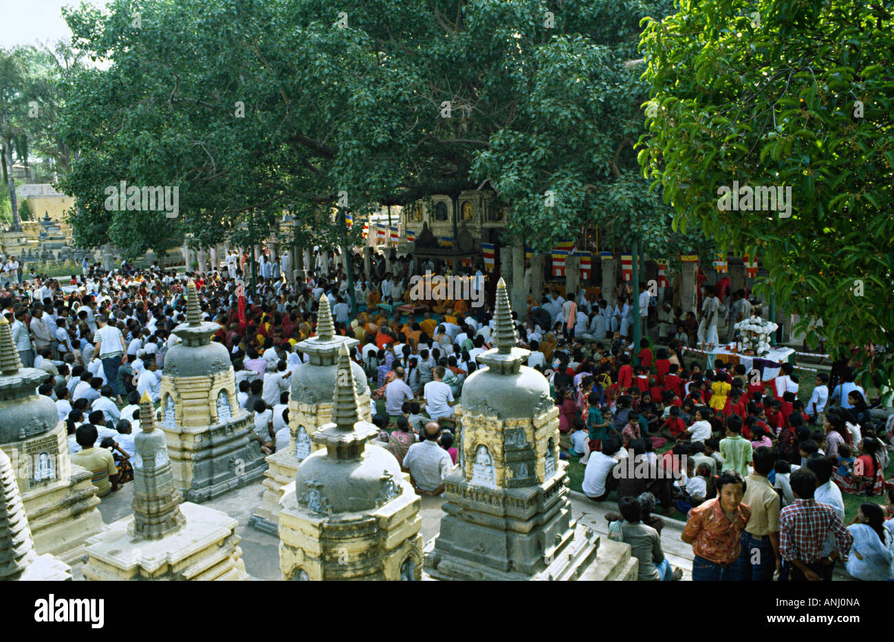 Eine große Sammlung indischer Buddhisten in einer Puja unter dem Bodhi-Baum in den Mahabodhi-Temple-Gärten. Bodh Gaya, Bihar, Indien. Stockfoto