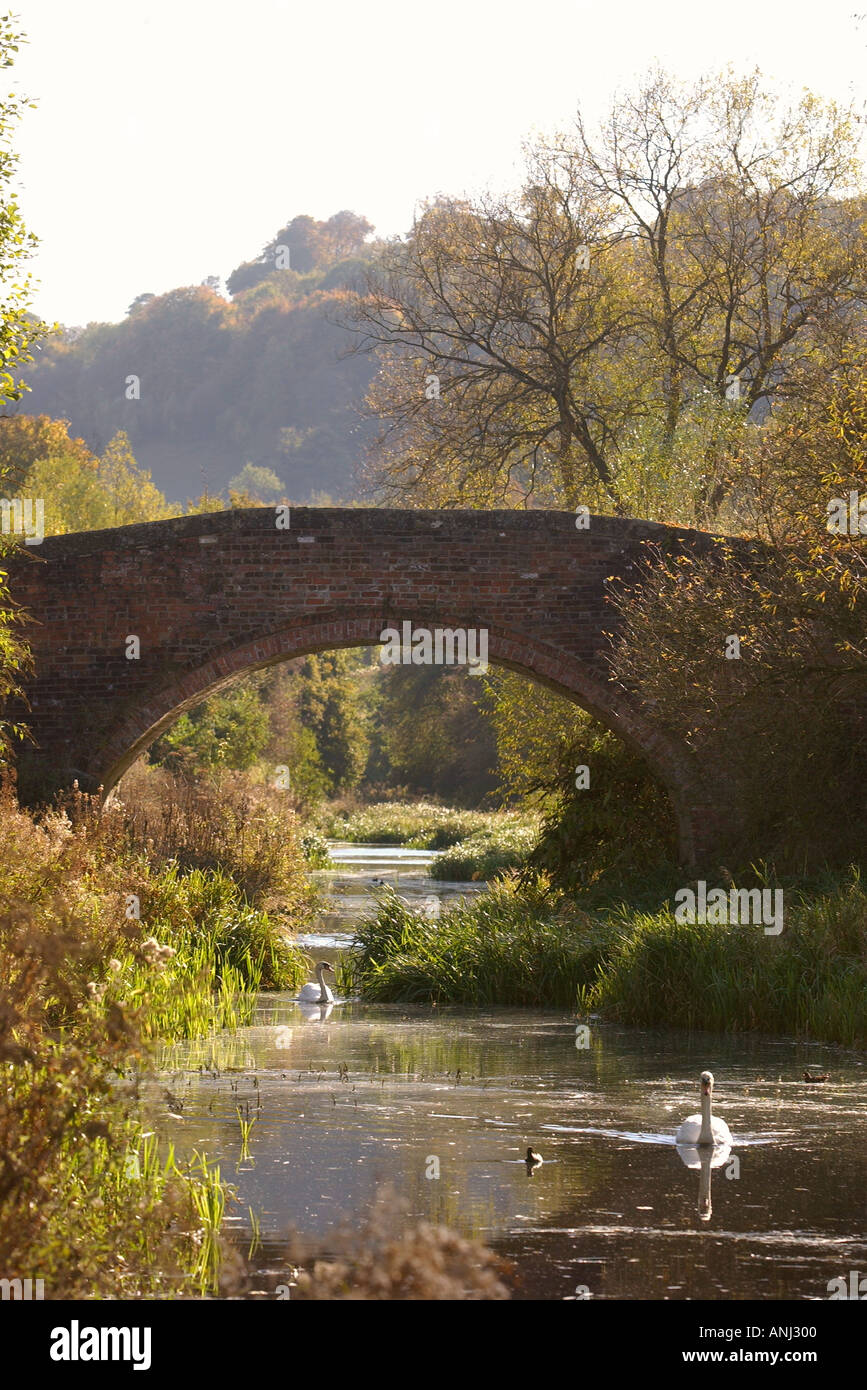 ERBE-UMFRAGE VON BRITISH WATERWAYS IDENTIFIZIERT STRUKTUREN VON BEDEUTUNG AUF DER COTSWOLD-C Stockfoto