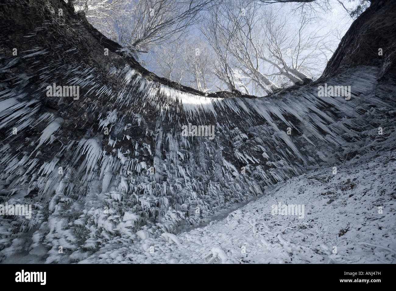 Stalaktiten in der Entraigues Kaskade Einstellung, im Winter (Frankreich). Stalaktiten Sur le Site De La Cascade d'Entraigues En Hiver. Stockfoto