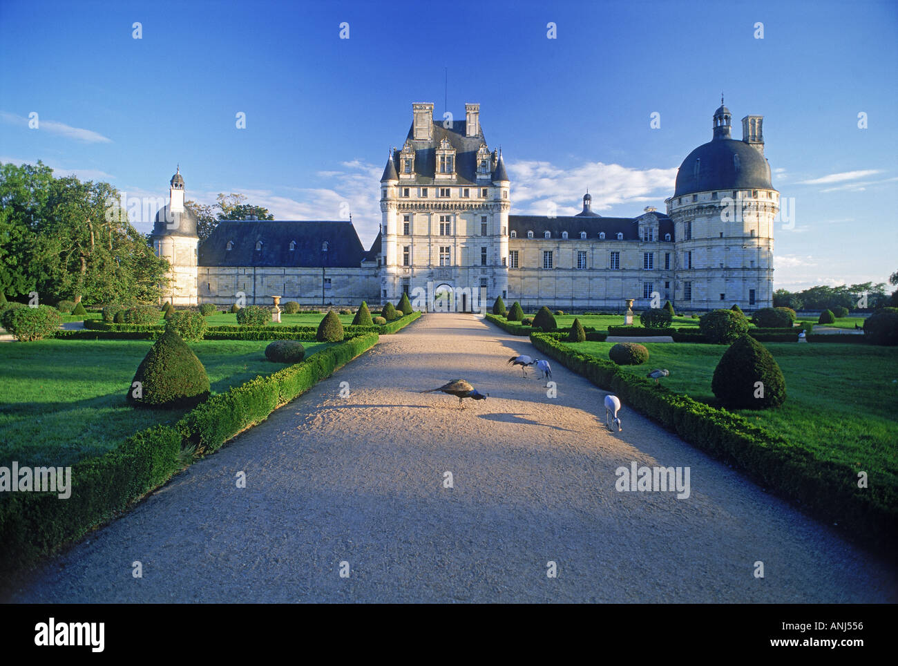 Renaissance Chateau de Valencay mit Pfauen im Loire Tal von Frankreich Stockfoto