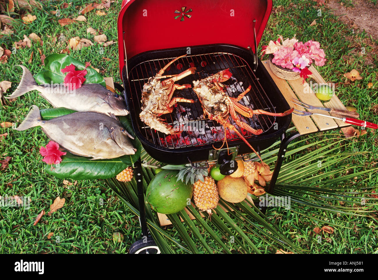 Frischer Fisch und Hummer auf Hinterhof Grill Grillen Stockfoto