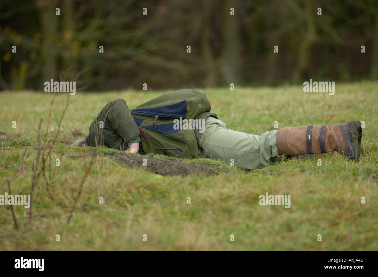 Auf der Suche nach Frettchen Kaninchenloch mit Funkempfänger Stockfoto
