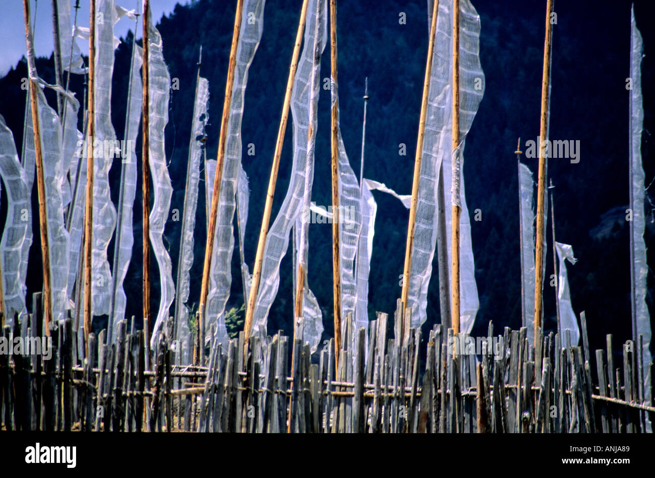 Gebetsfahnen in Bhutan in einem der vielen Bergpässe in Bhutan. Stockfoto