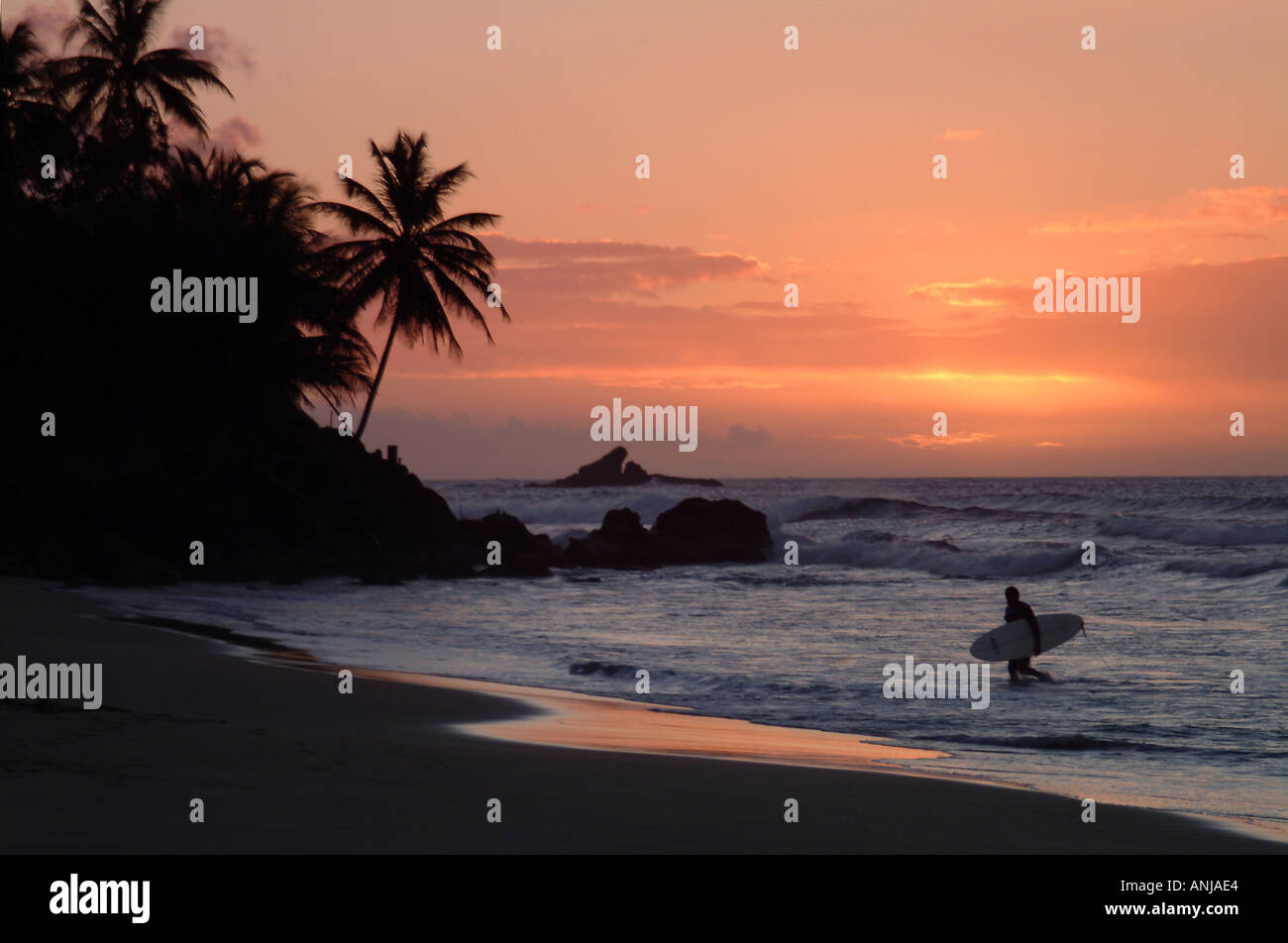 Surfer im Sonnenuntergang Mount Irvine Bay Tobago Karibik Antillen Stockfoto