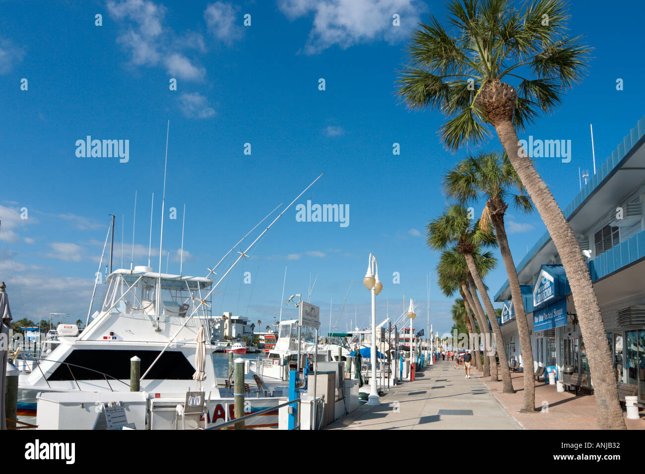 Marina, Clearwater Beach, Golfküste, Florida, USA Stockfoto