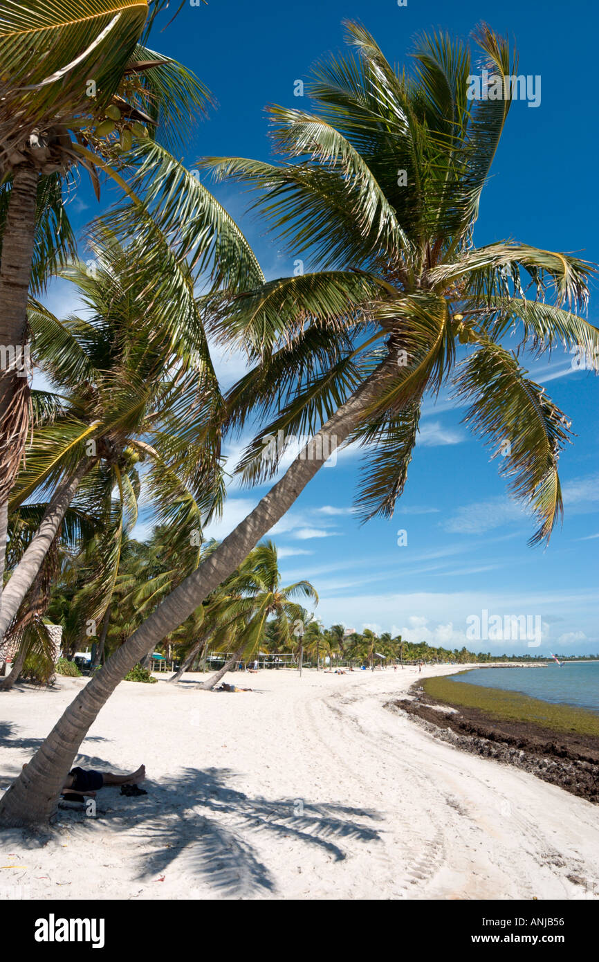Smathers Beach, Key West, Florida Keys, USA Stockfoto