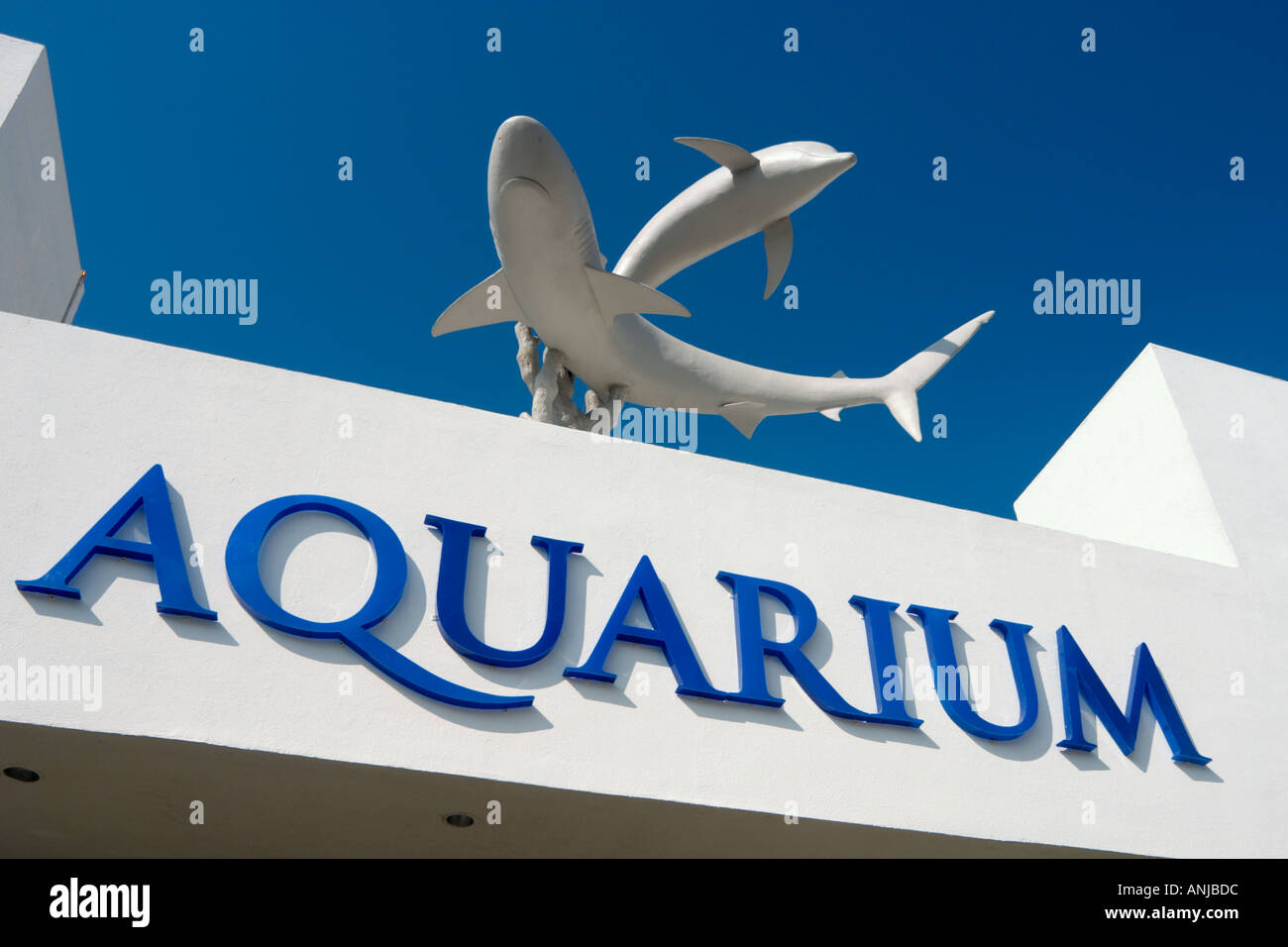 Das Aquarium in La Isla Shopping Village, Cancun, Halbinsel Yucatan, Mexiko Stockfoto