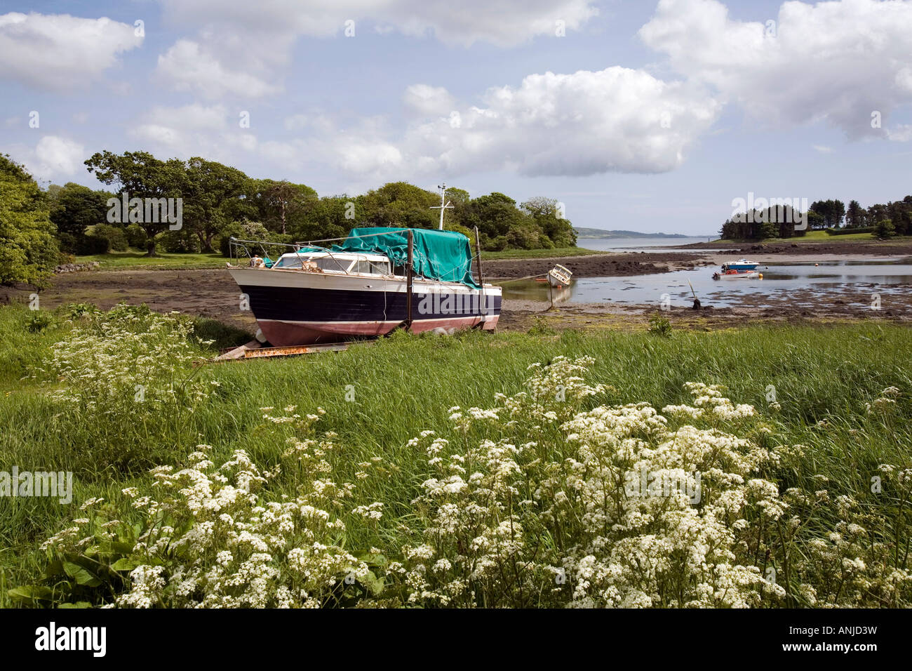 UK Nordirland County Down Ringdufferin Boote in der kleinen Bucht bei Ebbe Stockfoto
