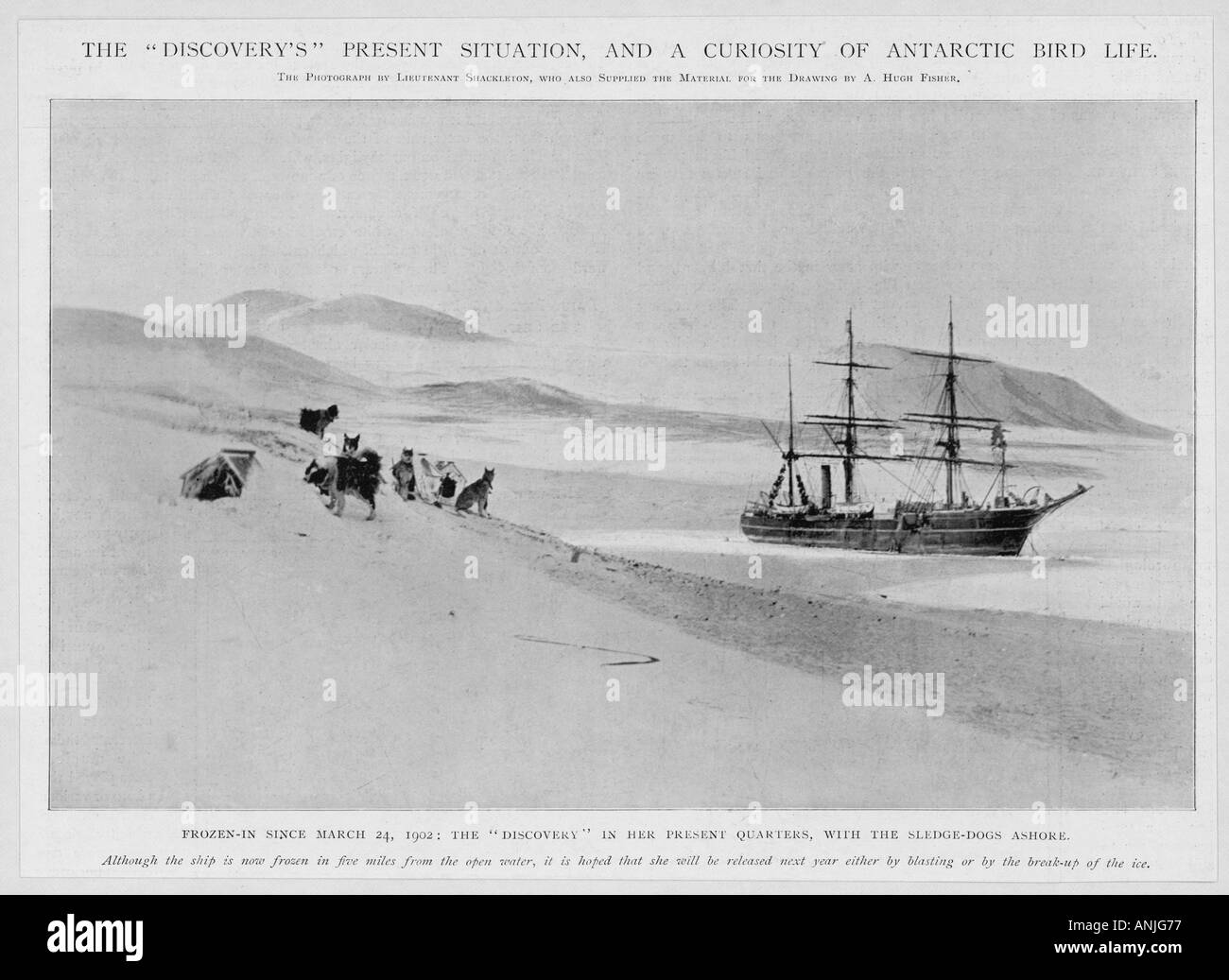 Veranstaltungen Exploration Polar Stockfoto